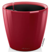 Classico LS 35 - Vermelho - LECHUZA